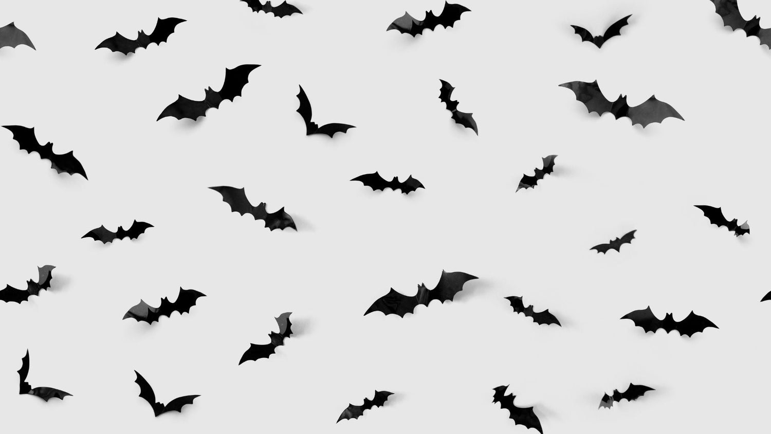 Cozy Up with Ethik: Our Spooky Season Movie Picks & Must-Have Fall Comforts