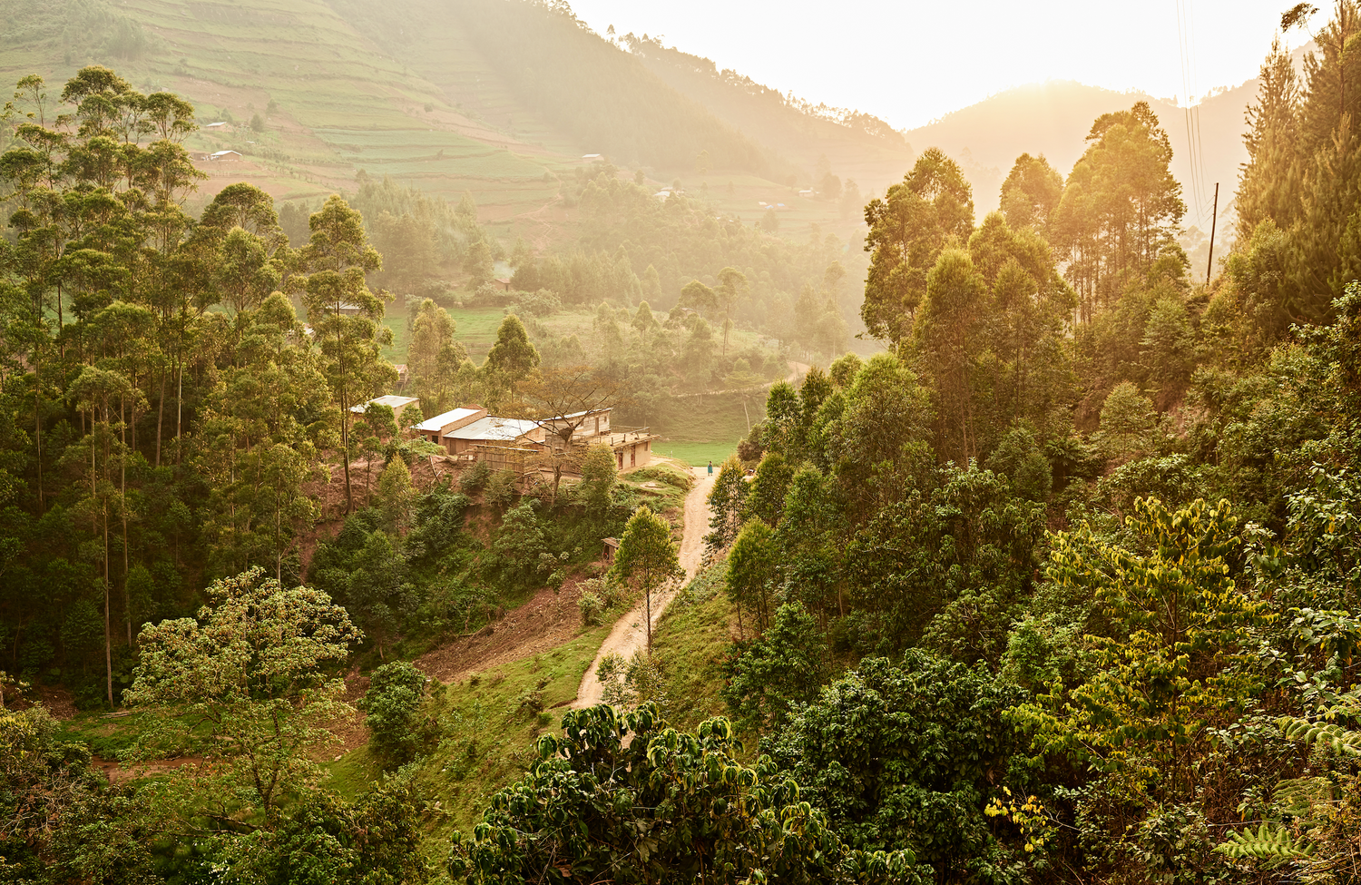 Meet the Makers: Mabira Collective & The Power of Community