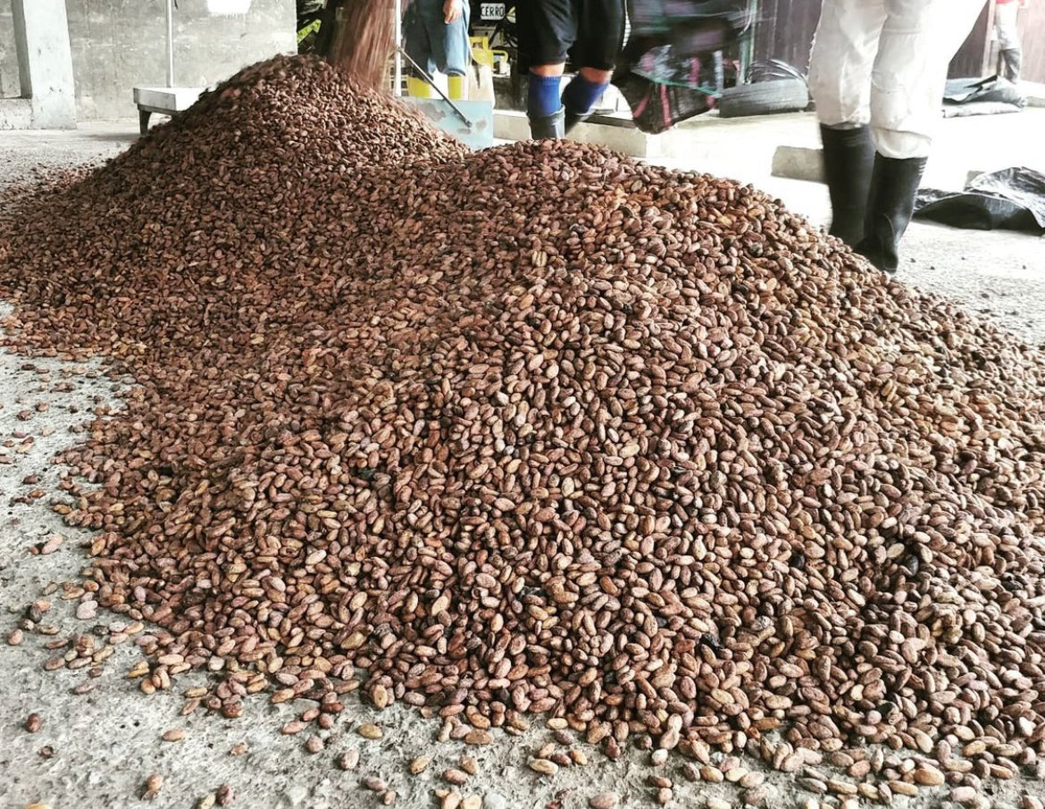 A stack of cocoa beans on the floor. 